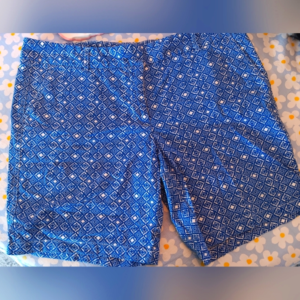 Land' N' Sea Blue Geometric Patterned Shorts
